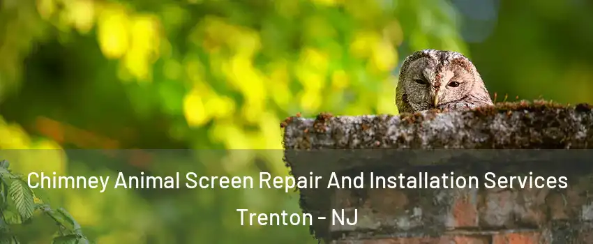 Chimney Animal Screen Repair And Installation Services Trenton - NJ