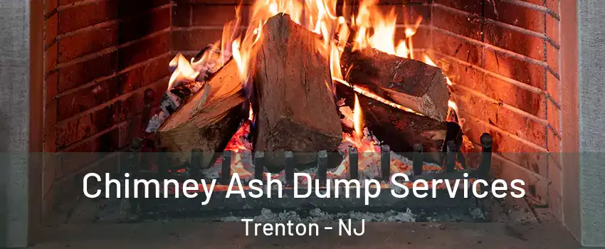  Chimney Ash Dump Services Trenton - NJ