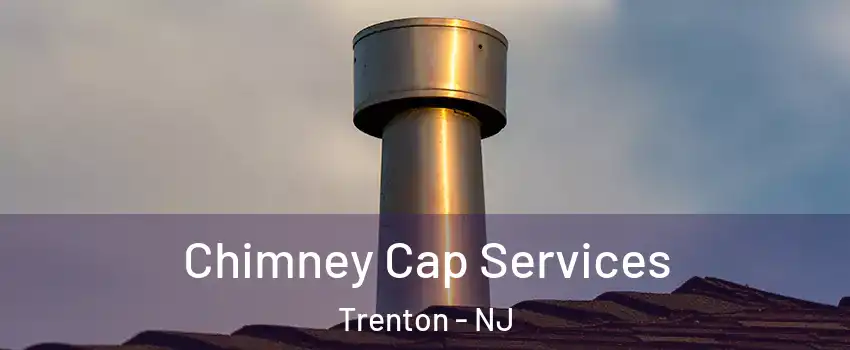  Chimney Cap Services Trenton - NJ