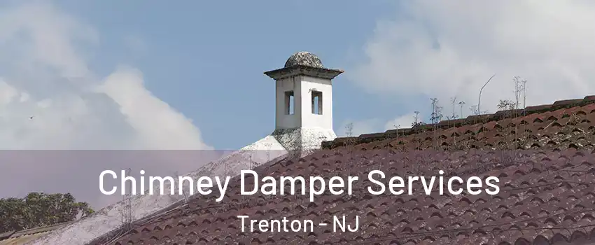  Chimney Damper Services Trenton - NJ