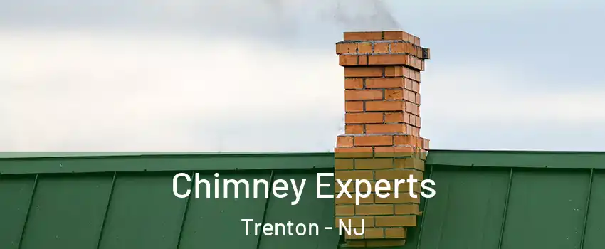  Chimney Experts Trenton - NJ
