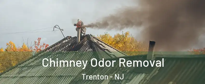 Chimney Odor Removal Trenton - NJ