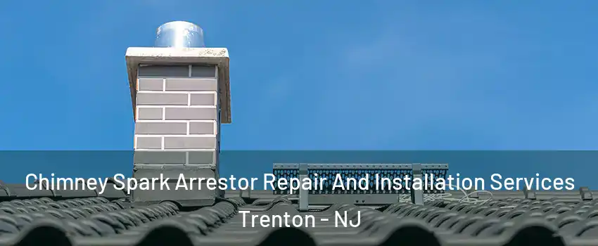  Chimney Spark Arrestor Repair And Installation Services Trenton - NJ