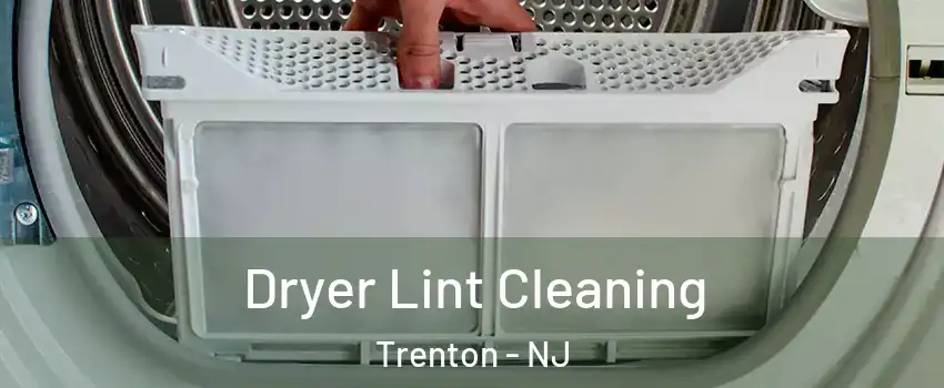  Dryer Lint Cleaning Trenton - NJ