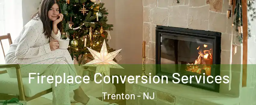  Fireplace Conversion Services Trenton - NJ