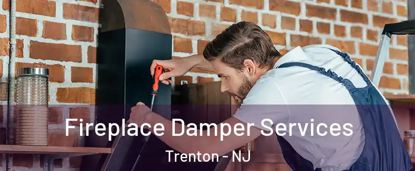  Fireplace Damper Services Trenton - NJ