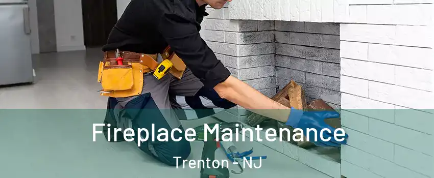  Fireplace Maintenance Trenton - NJ
