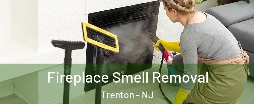  Fireplace Smell Removal Trenton - NJ
