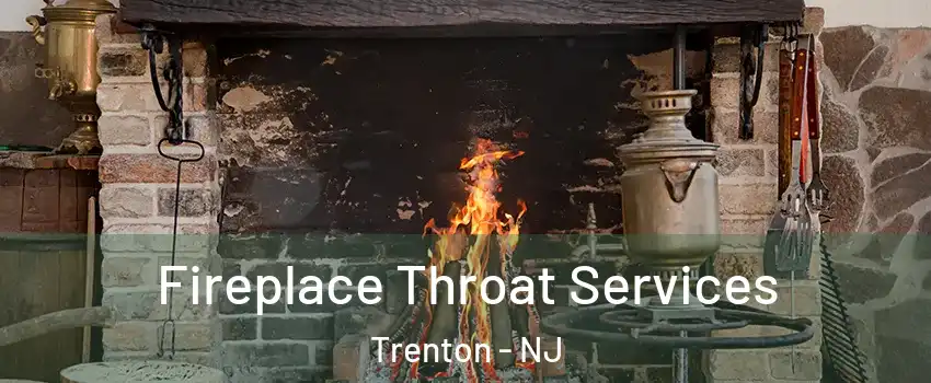  Fireplace Throat Services Trenton - NJ