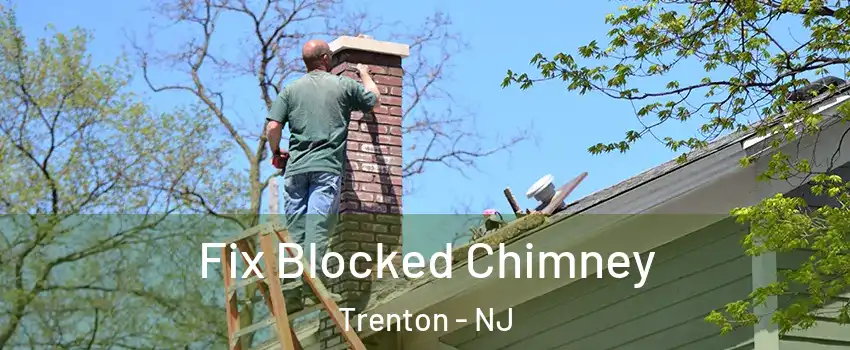  Fix Blocked Chimney Trenton - NJ