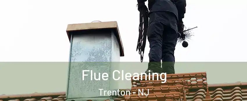  Flue Cleaning Trenton - NJ