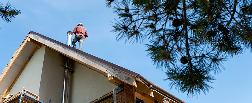 Birds Removal Contractors from Chimney in Trenton, NJ