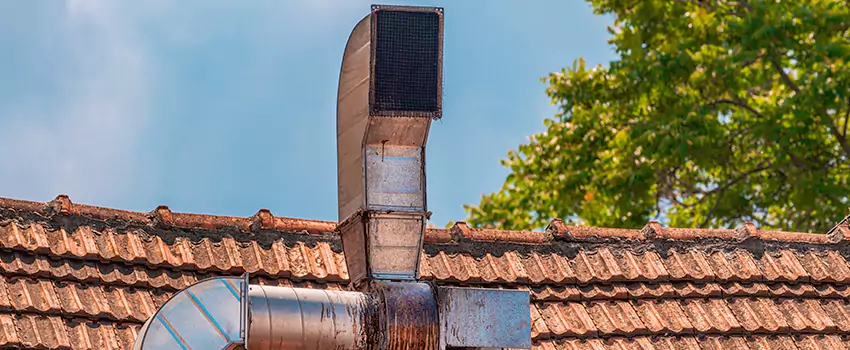 Chimney Blockage Removal in Trenton, New Jersey