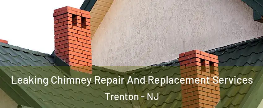  Leaking Chimney Repair And Replacement Services Trenton - NJ