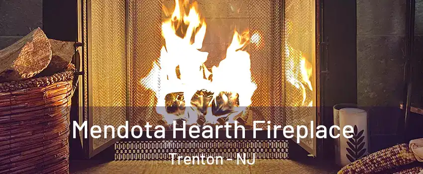  Mendota Hearth Fireplace Trenton - NJ