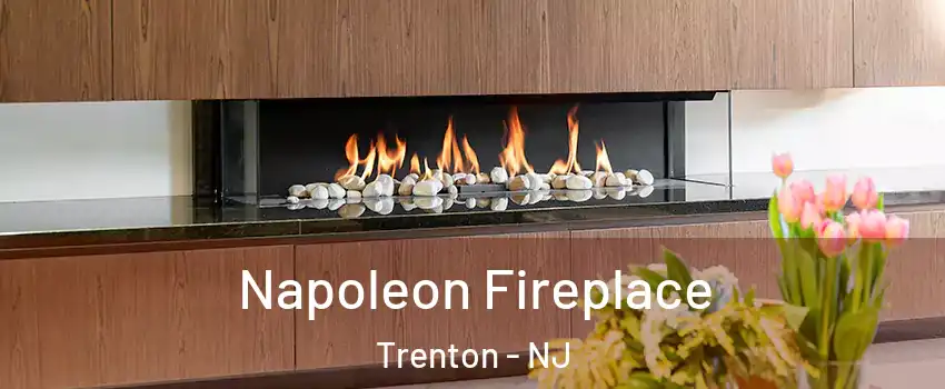  Napoleon Fireplace Trenton - NJ