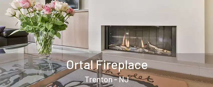  Ortal Fireplace Trenton - NJ